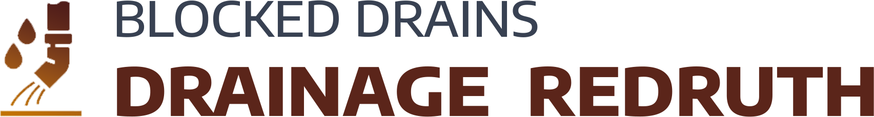 website logo